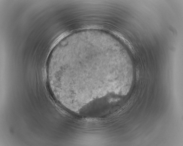 X0000115401274200912151513