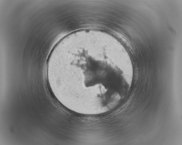 X0000115401275200912151513