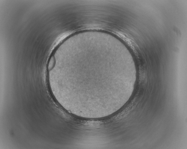 X0000115401277200912151513