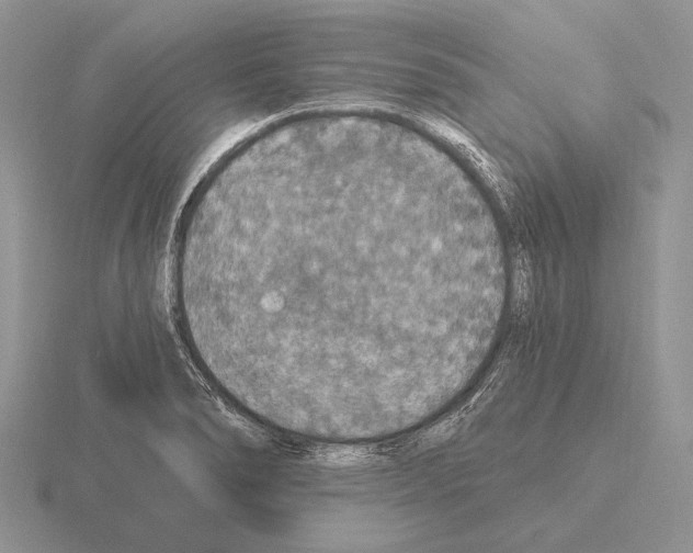 X0000115401278200912151513