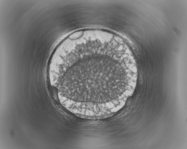 X0000115401279200912151513