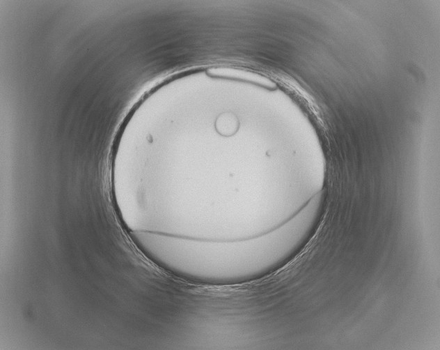 X0000115401280200912151513