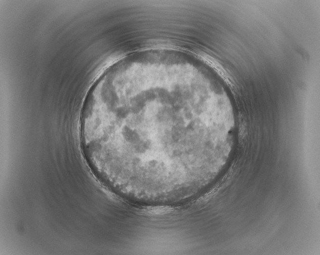 X0000115401282200912151513