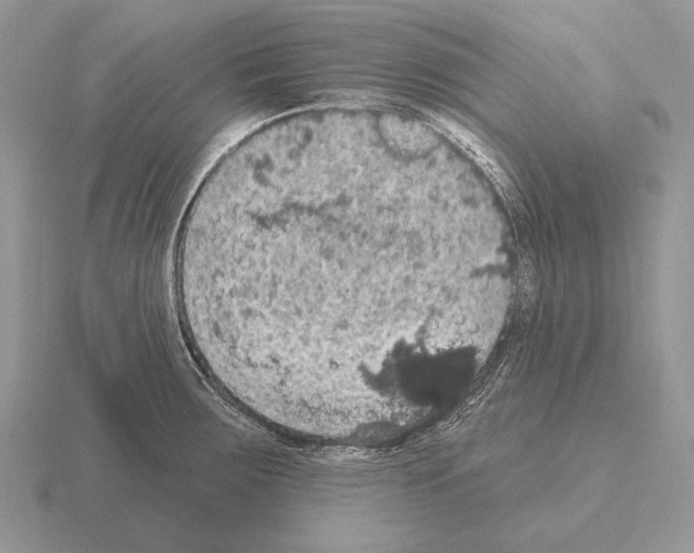 X0000115401283200912151513