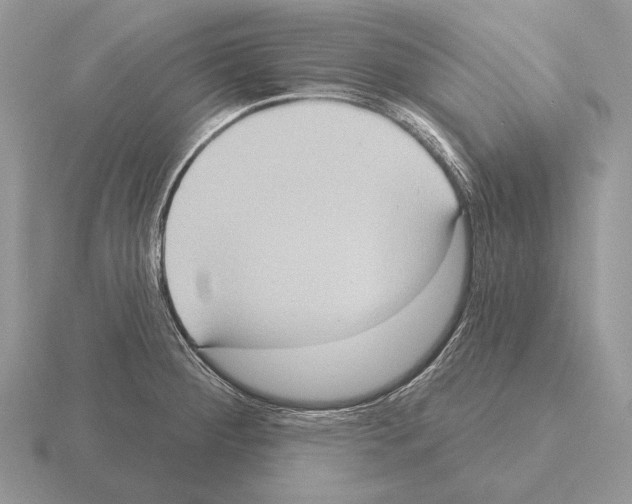 X0000115401284200912151513