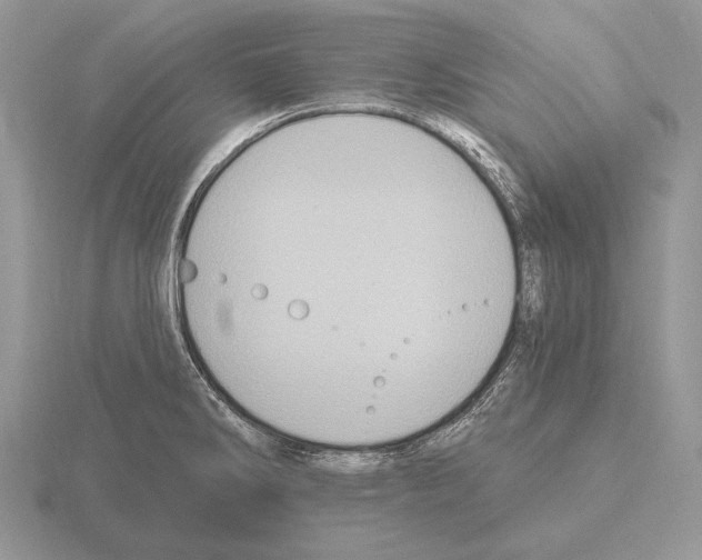 X0000115401286200912151513