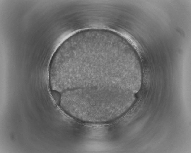 X0000115401287200912151513