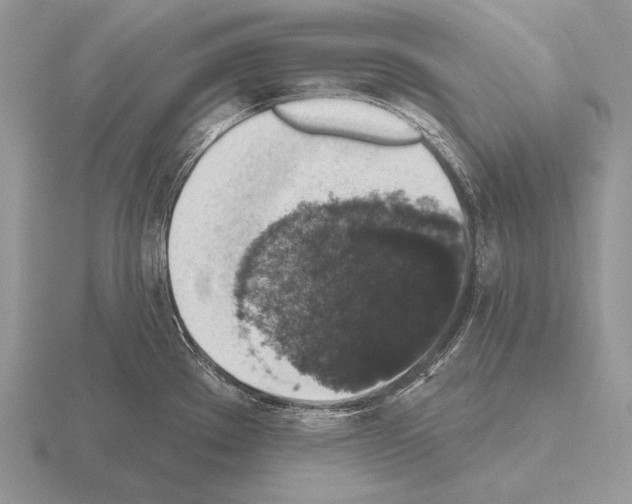 X0000115401289200912151513