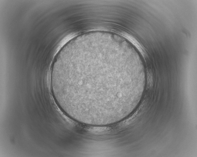 X0000115401290200912151513