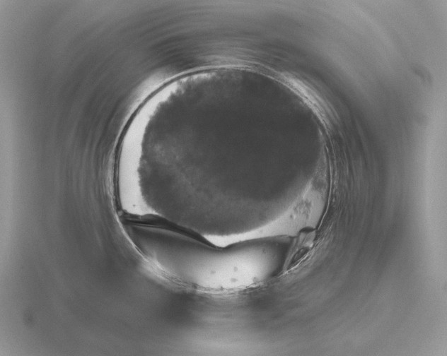 X0000115401291200912151513