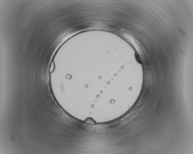 X0000115401292200912151513