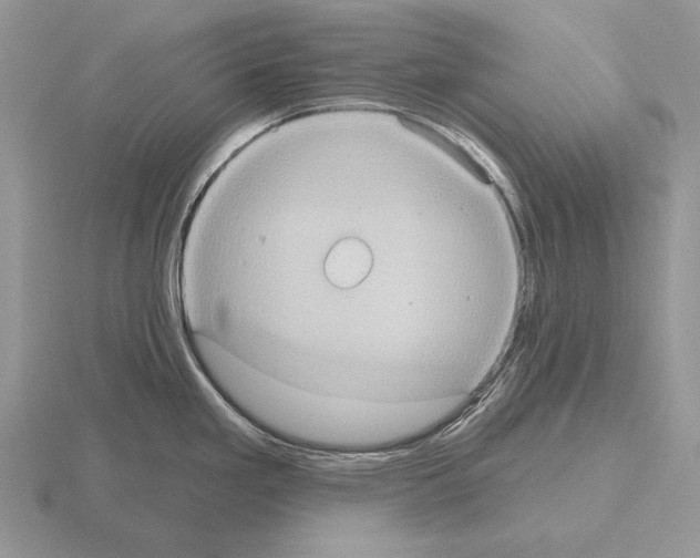 X0000115401293200912151513