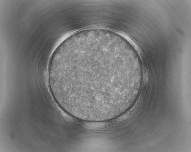 X0000115401294200912151513