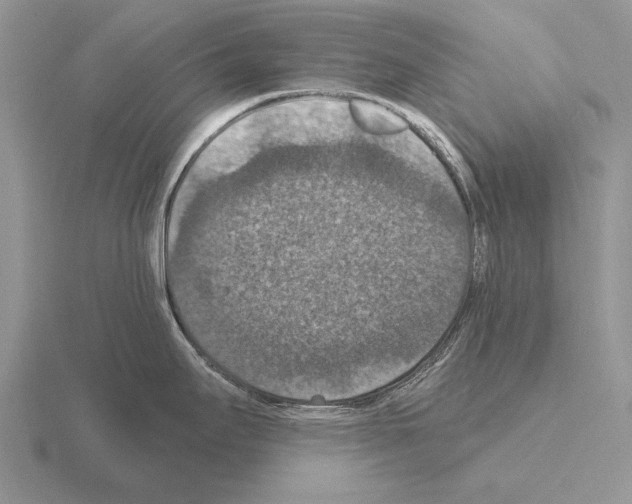 X0000115401295200912151513