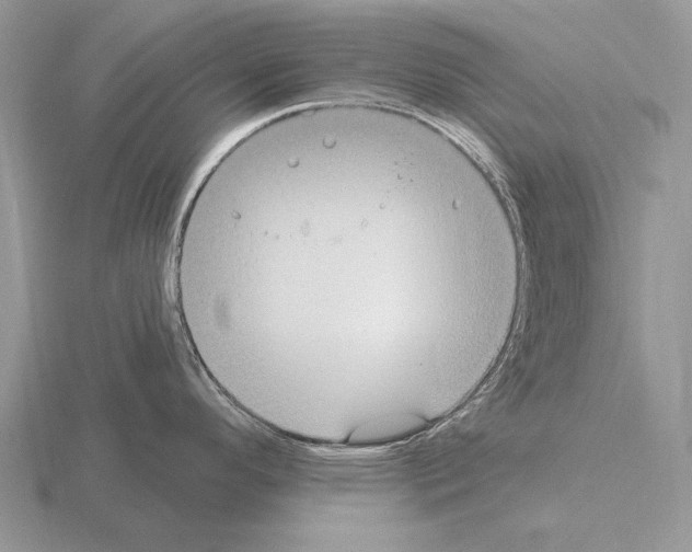 X0000115401296200912151513