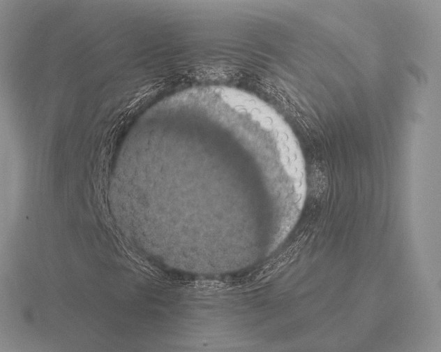 X0000115401297200912151512