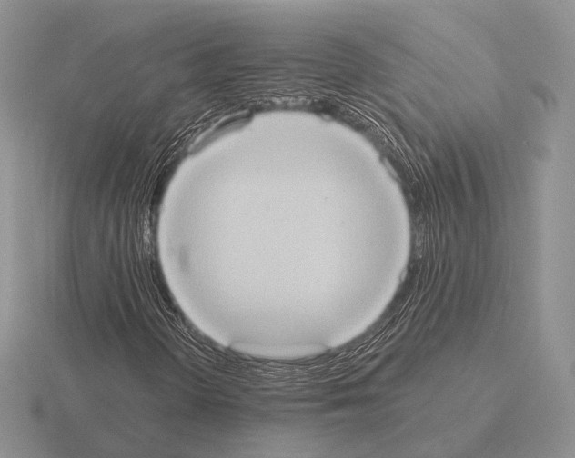 X0000115401298200912151512