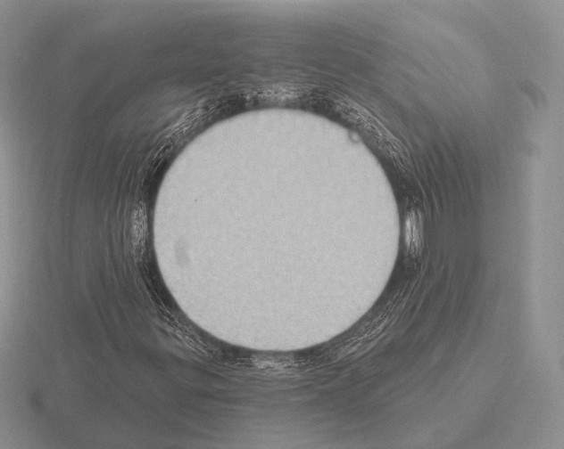 X0000115401299200912151512