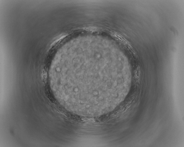 X0000115401302200912151512