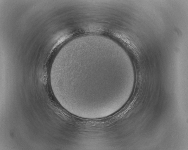 X0000115401306200912151512