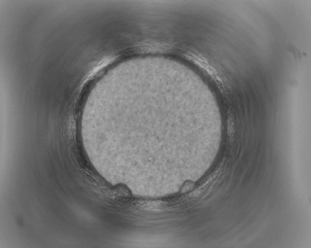 X0000115401309200912151512