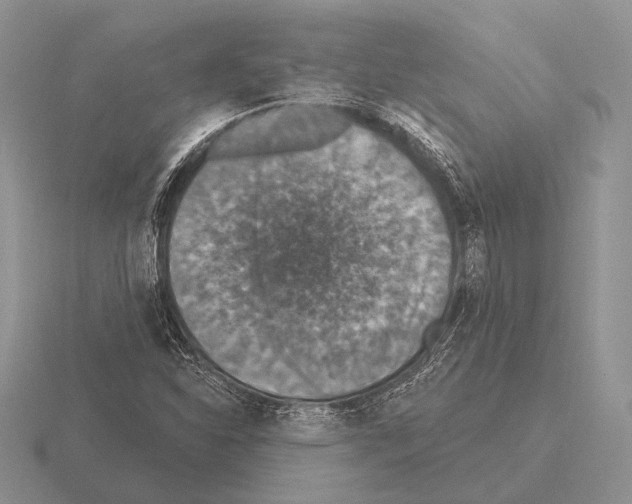 X0000115401310200912151512