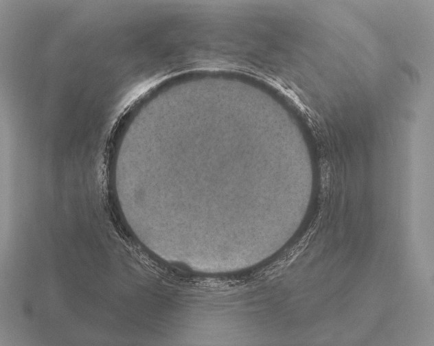 X0000115401311200912151512