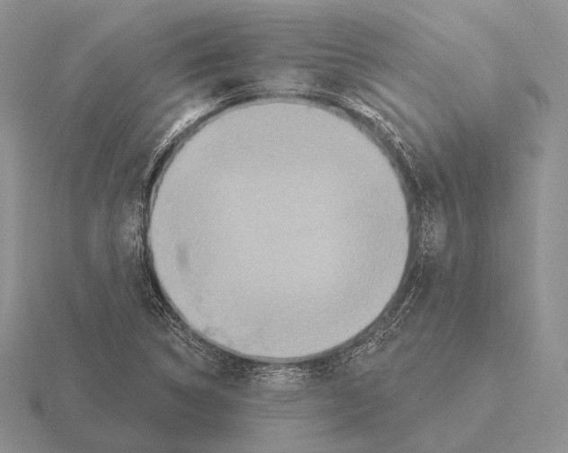 X0000115401314200912151512