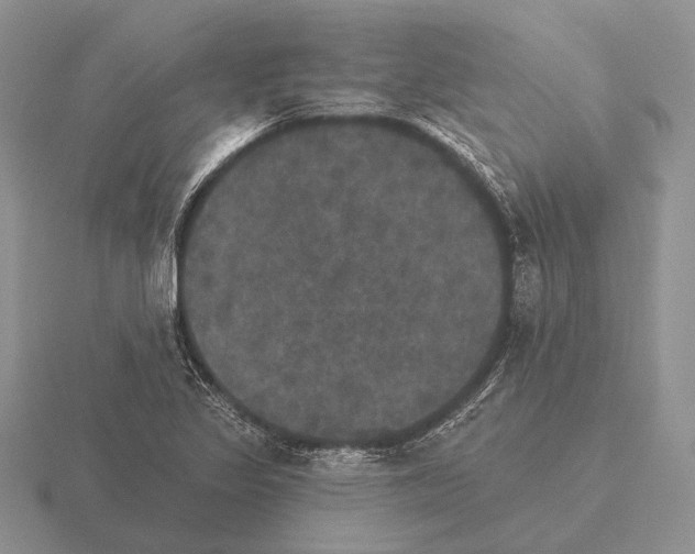 X0000115401317200912151513