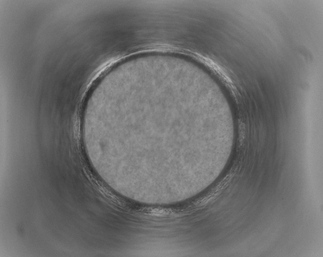 X0000115401318200912151513