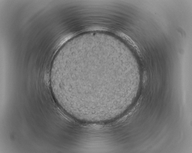 X0000115401321200912151513