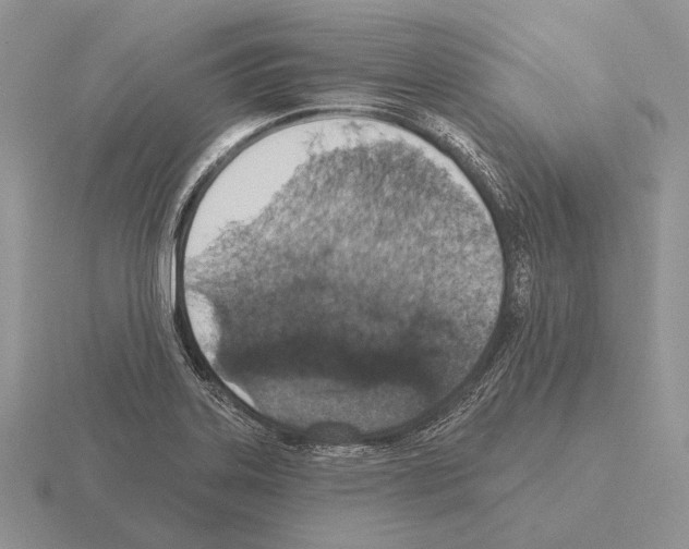 X0000115401323200912151513