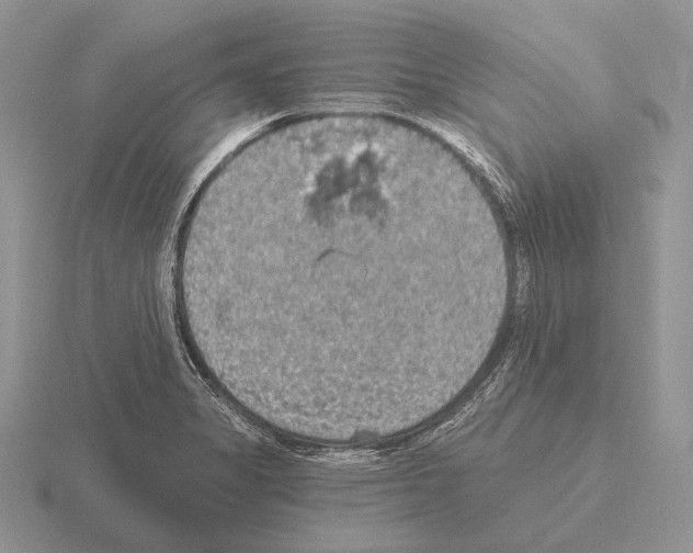 X0000115401325200912151513