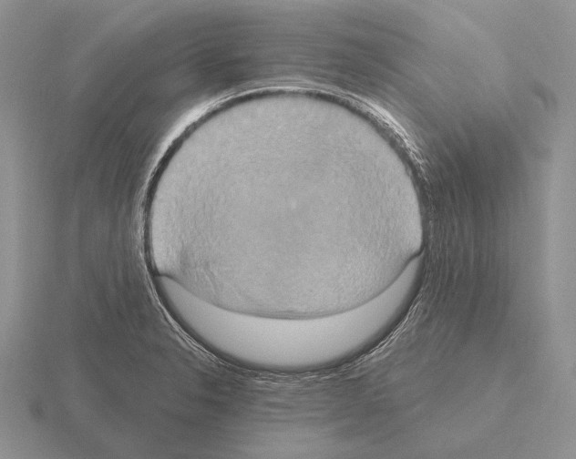 X0000115401326200912151513