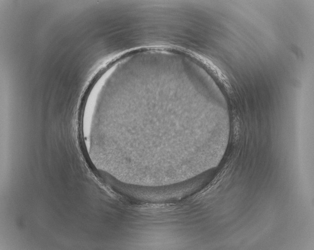 X0000115401327200912151513