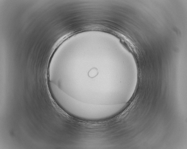 X0000115401330200912151513