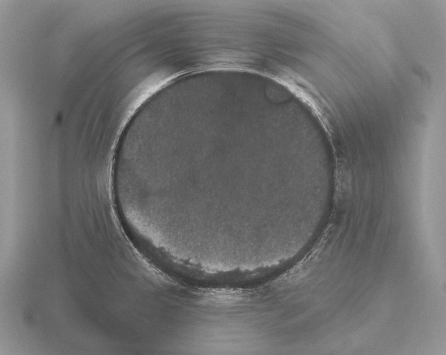 X0000115401333200912151513