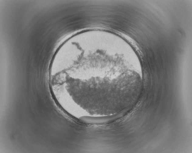 X0000115401335200912151513