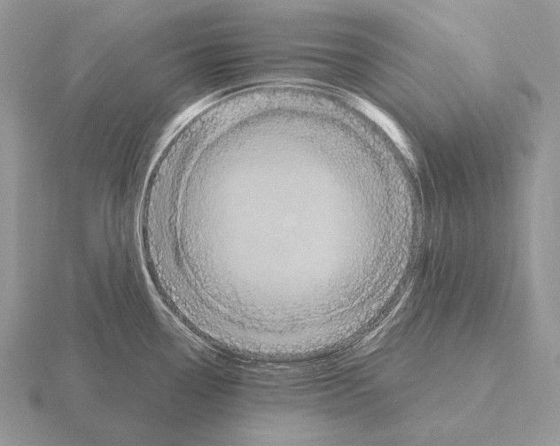 X0000115401338200912151513