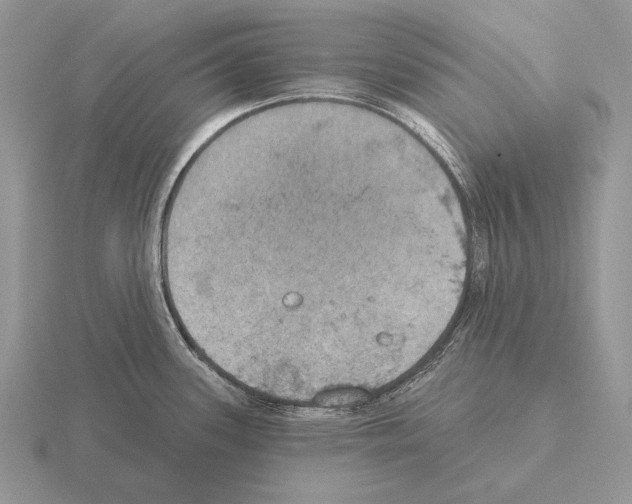 X0000115401339200912151513