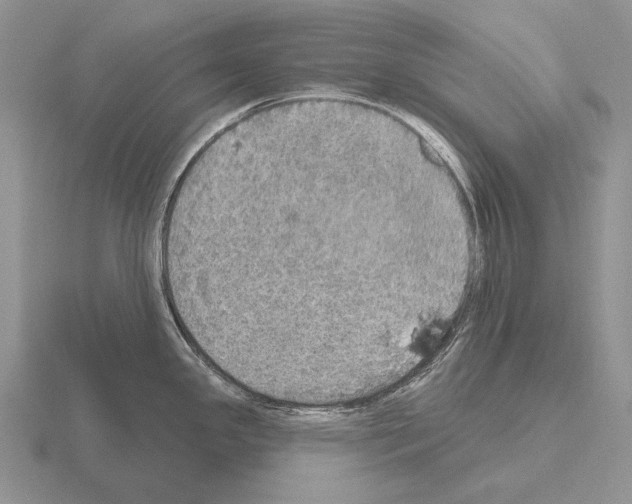 X0000115401341200912151513