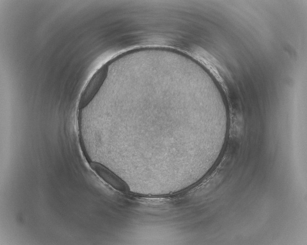 X0000115401342200912151513