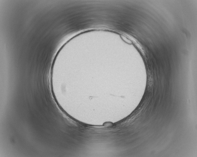 X0000115401343200912151513