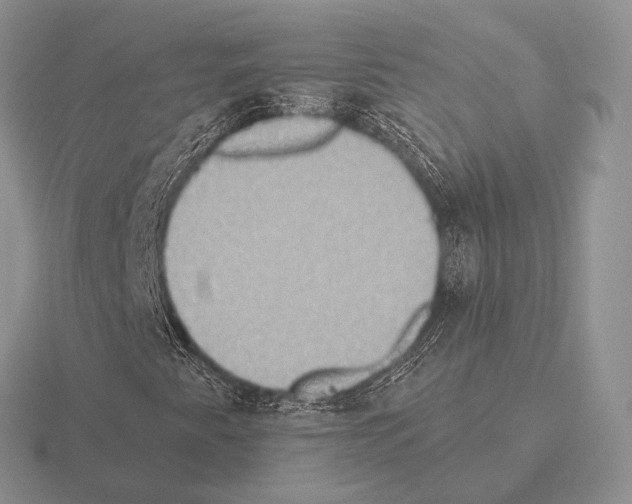 X0000115401345200912151512