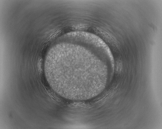 X0000115401346200912151512