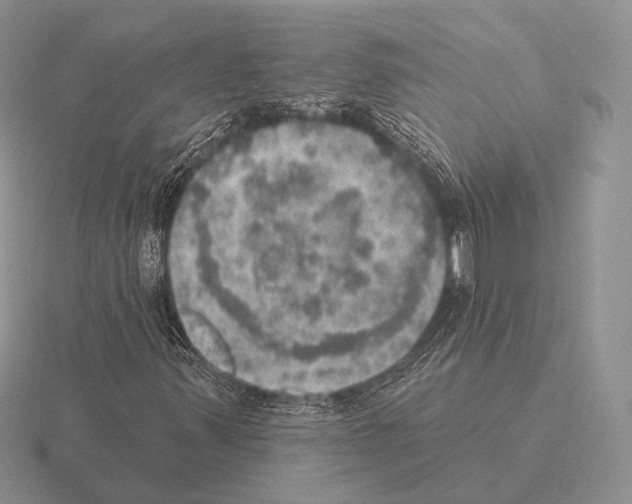 X0000115401347200912151512