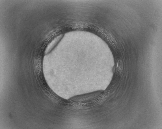 X0000115401348200912151512