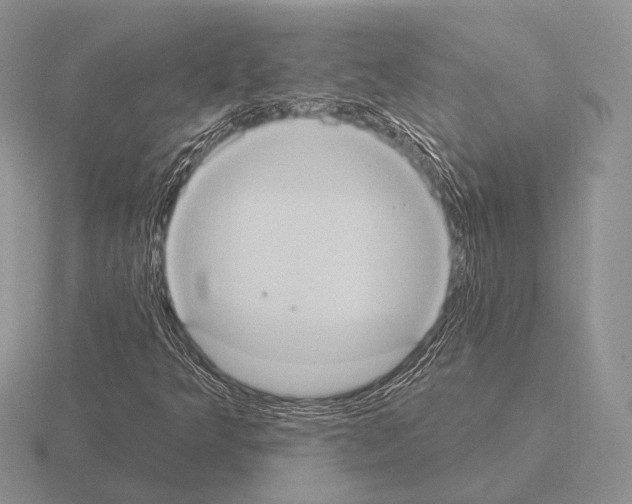 X0000115401349200912151512