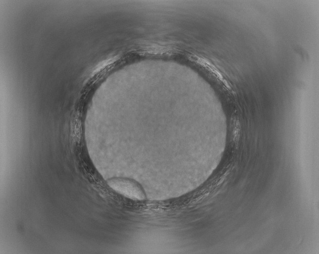 X0000115401350200912151512