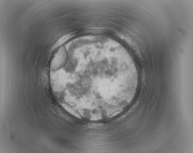 X0000115401354200912151512